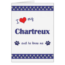 I Love My Chartreux (Male Cat) Greeting Cards