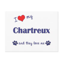 I Love My Chartreux (Multiple Cats) Postcards