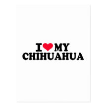 I love my Chihuahua Post Card