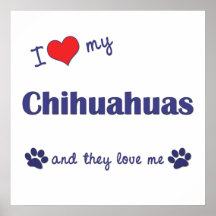 I Love My Chihuahuas (Multiple Dogs) Posters
