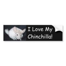 I love my chinchillah bumper stickers