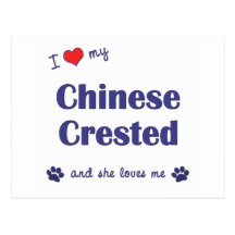 I Love My Chinese Crested (Female Dog) Post Card