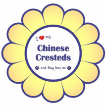 I Love My Chinese Cresteds (Multiple Dogs) Acrylic Cut Out