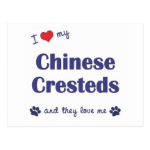 I Love My Chinese Cresteds (Multiple Dogs) Post Cards