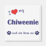 I Love My Chiweenie (Female Dog) Refrigerator Magnet