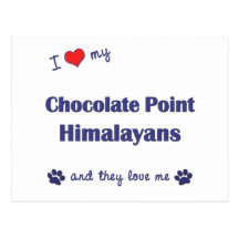 I Love My Chocolate Point Himalayans (Multi Cats) Postcards