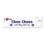 I Love My Chow Chows (Multiple Dogs) Bumper Sticker