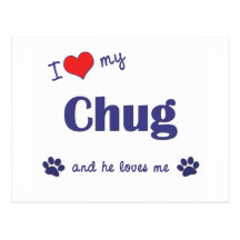I Love My Chug (Male Dog) Post Cards