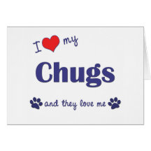 I Love My Chugs (Multiple Dogs) Cards