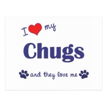 I Love My Chugs (Multiple Dogs) Postcards
