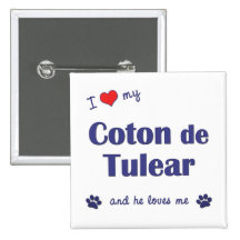 I Love My Coton de Tulear (Male Dog) Pins