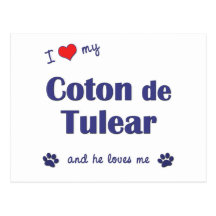 I Love My Coton de Tulear (Male Dog) Postcard