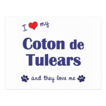 I Love My Coton de Tulears (Multiple Dogs) Postcard
