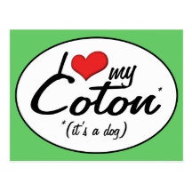 I Love My Coton (It's a Dog) Post Card