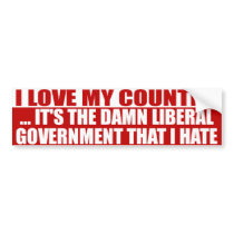 I Love My Country Bumper Sticker