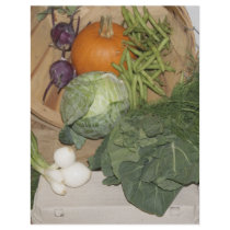 I Love My CSA Letterhead