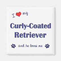 I Love My Curly-Coated Retriever (Male Dog) Refrigerator Magnets
