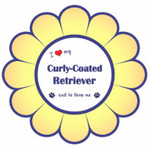 I Love My Curly-Coated Retriever (Male Dog) Acrylic Cut Outs