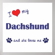 I Love My Dachshund (Female Dog) Poster
