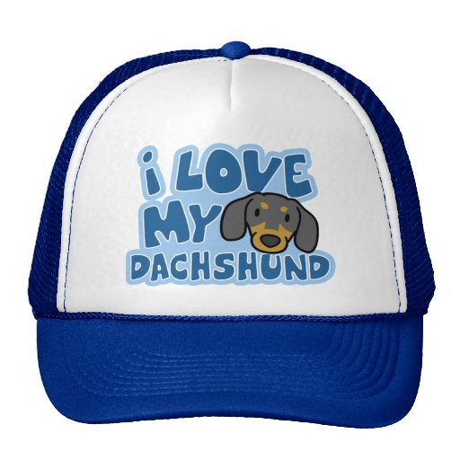 I Love My Dachshund Hat