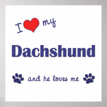 I Love My Dachshund (Male Dog) Print