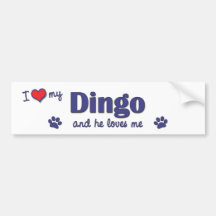 I Love My Dingo (Male Dog) Bumper Sticker