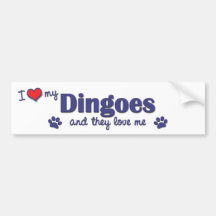 I Love My Dingoes (Multiple Dogs) Bumper Stickers