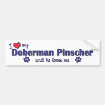 I Love My Doberman PInscher (Male Dog) Bumper Sticker