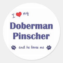I Love My Doberman Pinscher (Male Dog) Stickers