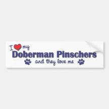 I Love My Doberman Pinschers (Multiple Dogs) Bumper Sticker