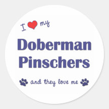 I Love My Doberman Pinschers (Multiple Dogs) Round Stickers