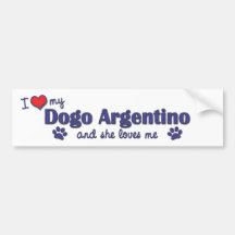I Love My Dogo Argentino (Female Dog) Bumper Sticker
