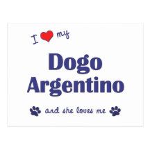 I Love My Dogo Argentino (Female Dog) Post Cards