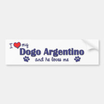 I Love My Dogo Argentino (Male Dog) Bumper Sticker