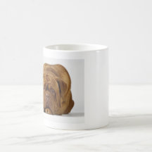 I love my Dogue De bordeaux mug