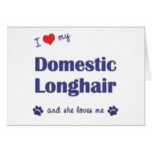 I Love My Domestic Longhair (Female Cat) Cards