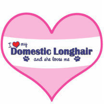 I Love My Domestic Longhair (Female Cat) Photo Cutouts