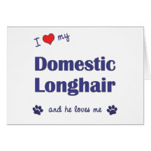 I Love My Domestic Longhair (Male Cat) Greeting Cards