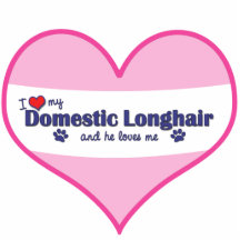 I Love My Domestic Longhair (Male Cat) Photo Sculptures