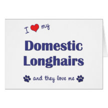 I Love My Domestic Longhairs (Multiple Cats) Greeting Cards