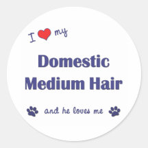 I Love My Domestic Medium Hair (Male Cat) Sticker