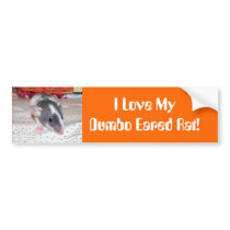 I love my dumbo eared rat bumper stickers
