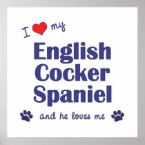 I Love My English Cocker Spaniel (Male Dog) Poster