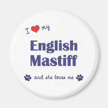 I Love My English Mastiff (Female Dog) Magnet