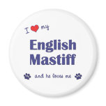I Love My English Mastiff (Male Dog) magnets