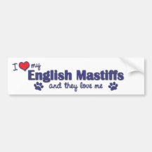 I Love My English Mastiffs (Multiple Dogs) Bumper Sticker