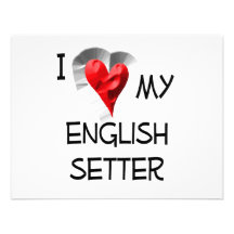 I Love My English Setter Invite
