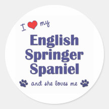 I Love My English Springer Spaniel (Female Dog) Stickers