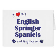 I Love My English Springer Spaniel (Multiple Dogs) Cards