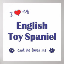 I Love My English Toy Spaniel (Male Dog) Poster